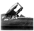 d_nelson005.jpg